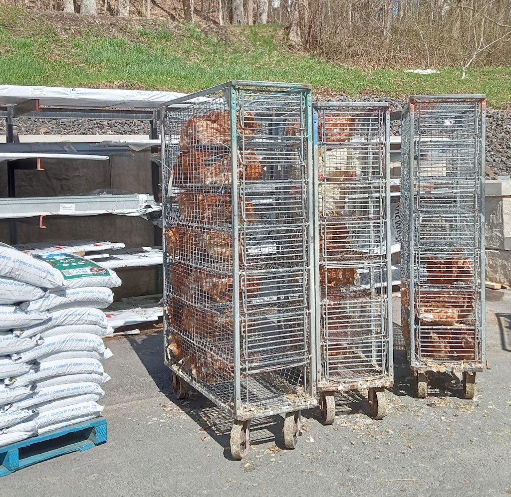 Bridgewater Farmers Co-op Soc Ltd | 123 Elm St, Bridgewater, NS B4V 2V5, Canada | Phone: (902) 543-2471