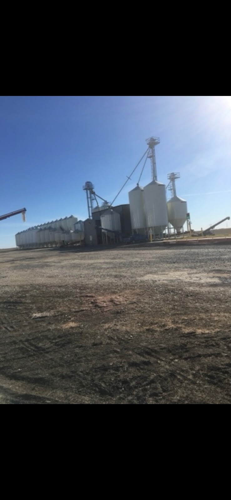 Crone Farms Inc | Box 698, Moose Jaw, SK S6H 4P4, Canada | Phone: (306) 690-7729