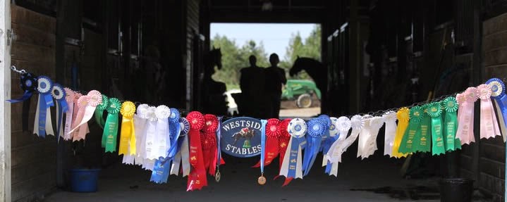 Westside Stables | 6404 Central Saanich Rd, Saanichton, BC V8M 1Z4, Canada | Phone: (250) 544-0050