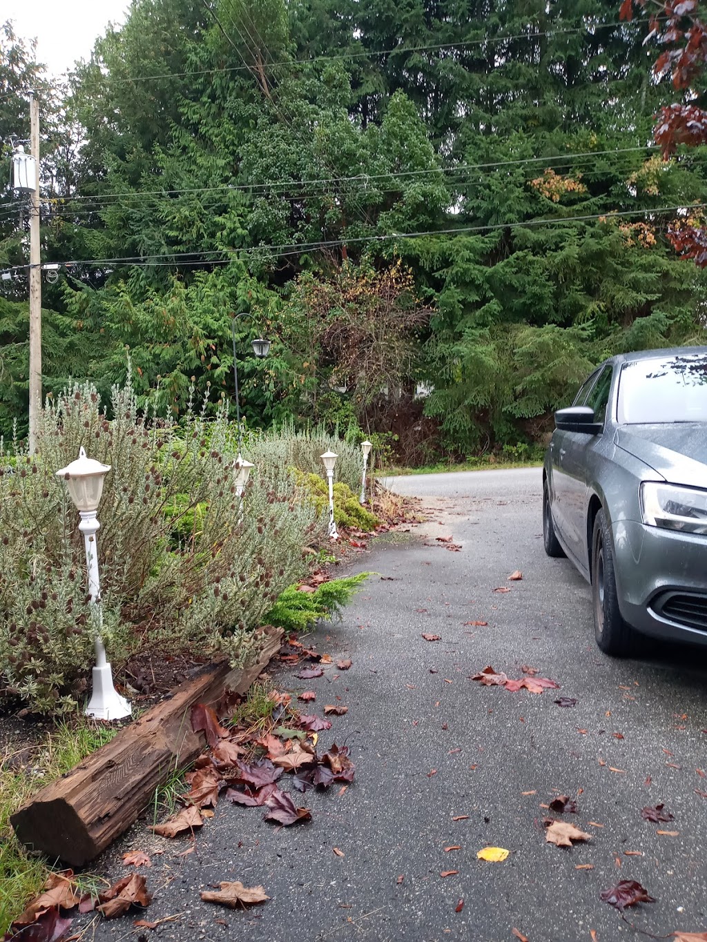 Poppies Garden | 5750 Spindrift St, Sechelt, BC V0N 3A3, Canada | Phone: (604) 989-7290