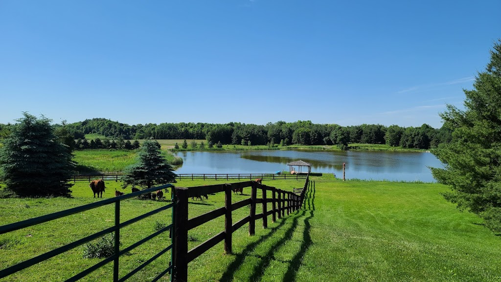 Three Brother Ranch | 343609 Ebenezer Rd, Mount Elgin, ON N0J 1N0, Canada | Phone: (226) 228-3526