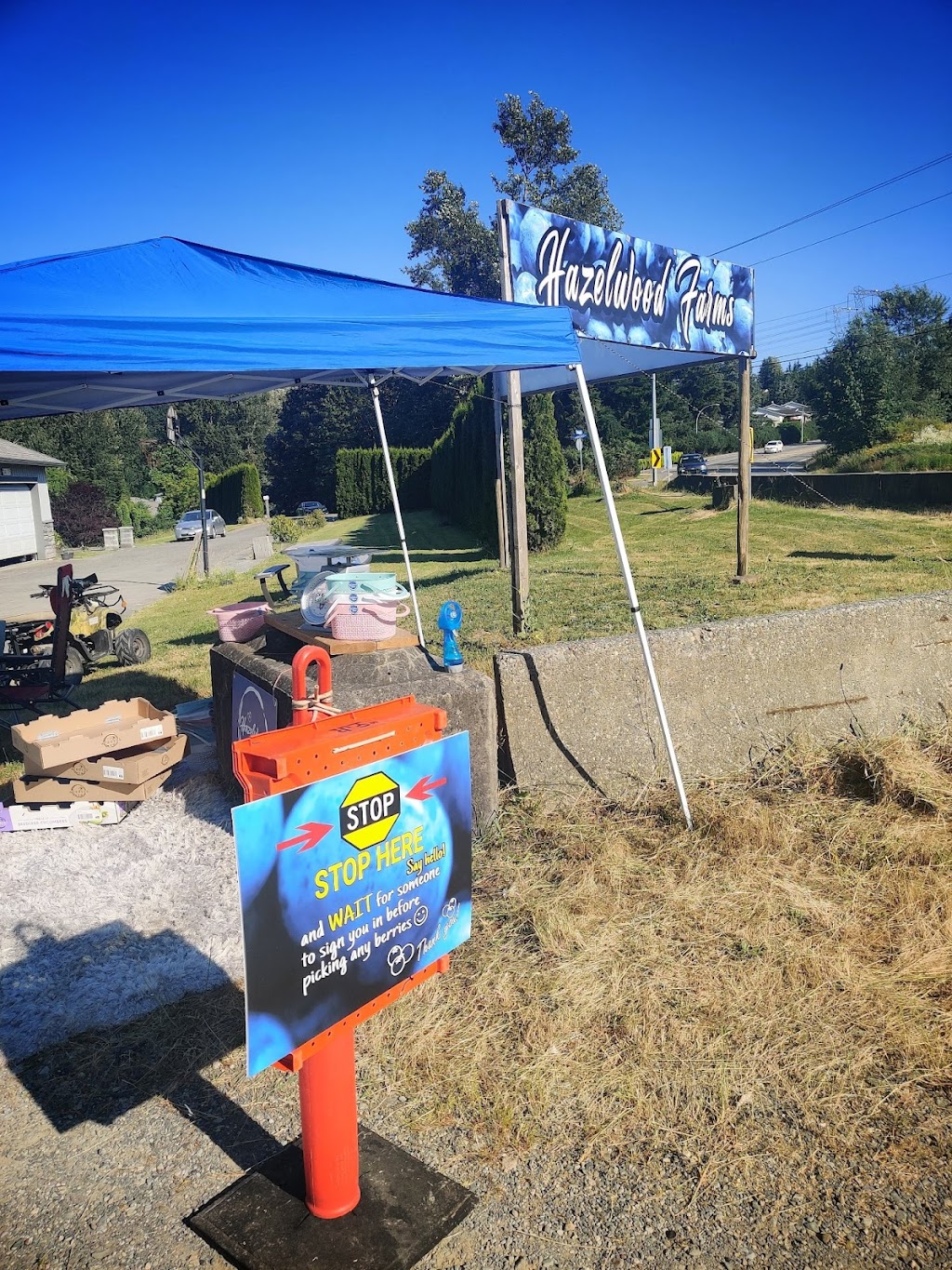 Hazelwood Farms | 34175 Hazelwood Ave, Abbotsford, BC V2S 8E9, Canada | Phone: (236) 458-7333