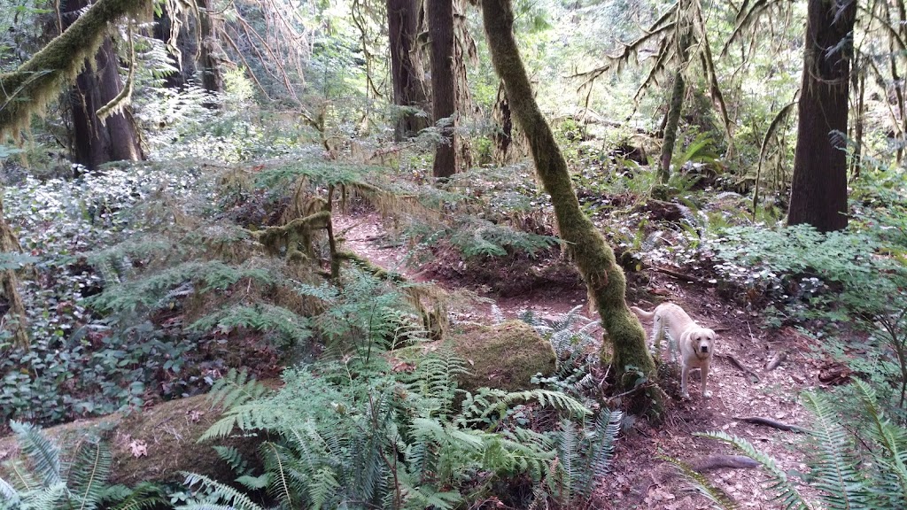 Strathcona Street Bed & Breakfast | 6000 Strathcona St, Port Alberni, BC V9Y 8S4, Canada | Phone: (250) 724-0769