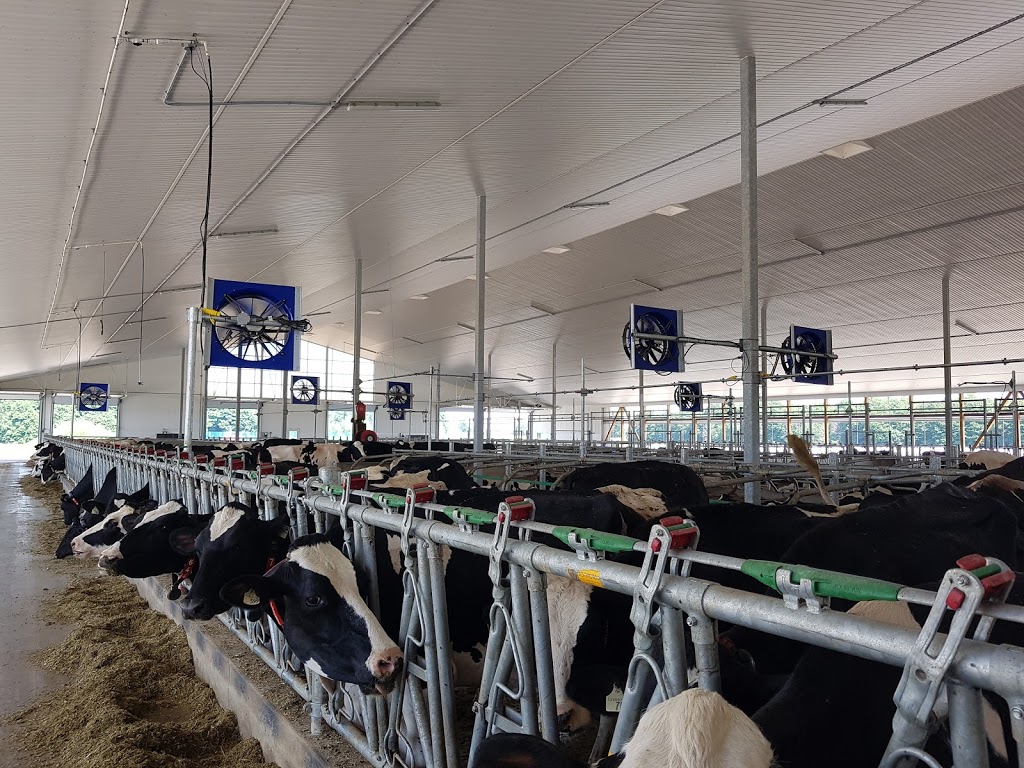 Embro Farm Systems Inc. | R.R.#4, 375058 37th Line, Embro, ON N0J 1J0, Canada | Phone: (519) 423-9595