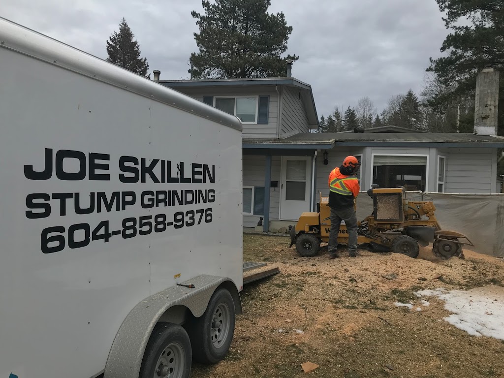 Joe Skillen Tree Services Ltd. | 42244 Yarrow Central Rd, Chilliwack, BC V2R 5H8, Canada | Phone: (604) 858-9376