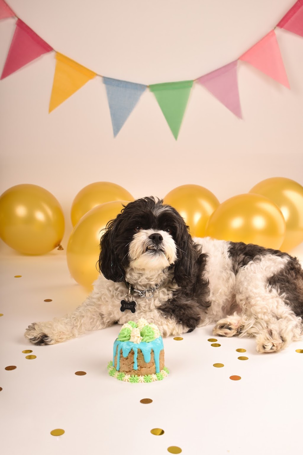 Mother Puppers Barkery | NOT A STOREFORNT, 575 Proudfoot Ln, London, ON N6G 4Z4, Canada | Phone: (226) 346-3790