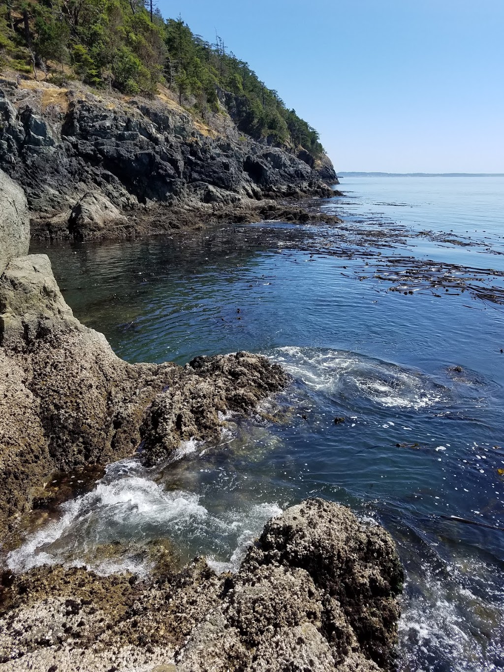 Sharpe Park | 14644-, 14676 Rosario Rd, Anacortes, WA 98221, USA