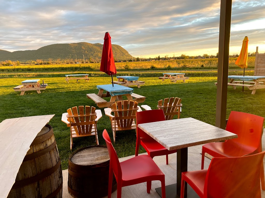 Domaine Vineterra, Vignoble | 815 Chem. Pion, Mont-Saint-Hilaire, QC J3H 0L4, Canada | Phone: (450) 584-3788