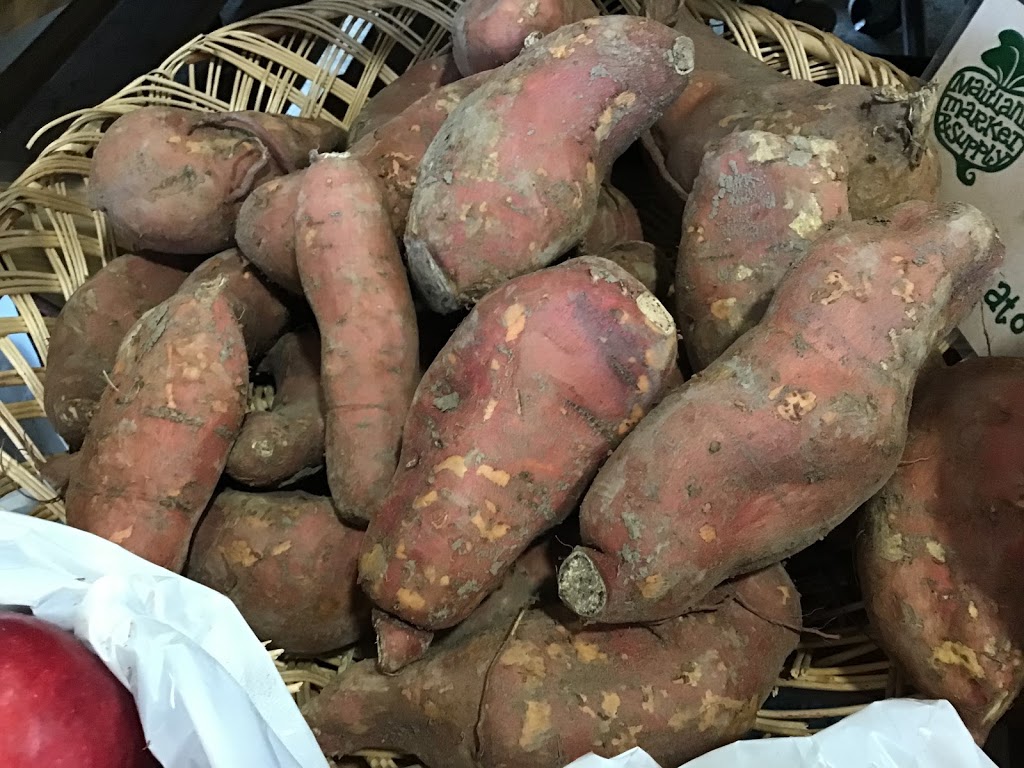 Maitland Market and Supply | 79988 Porters Hill Line, Goderich, ON N7A 3X8, Canada | Phone: (519) 524-0773