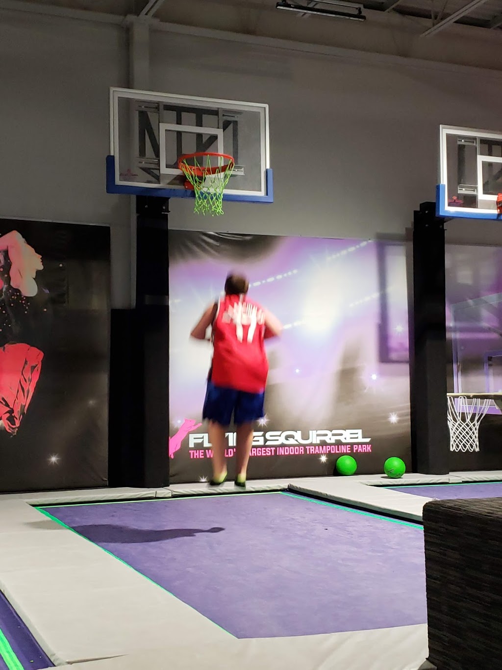 Flying Squirrel Ottawa | 1901 Cyrville Rd, Ottawa, ON K1B 1A9, Canada | Phone: (343) 883-1092