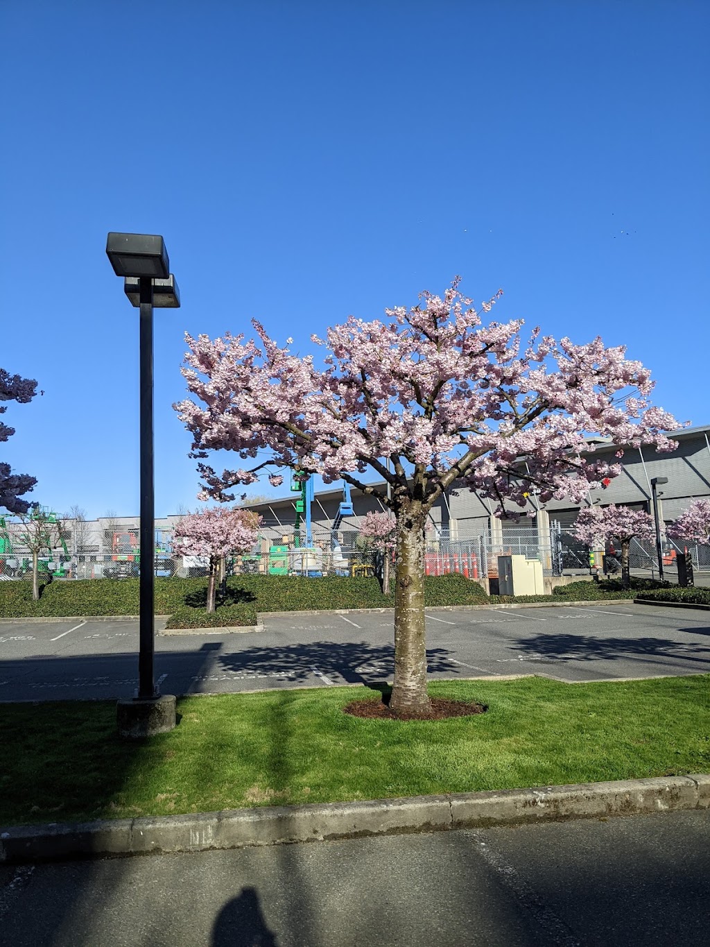 Mega Screen Productions | 540 David St, Victoria, BC V8T 2C7, Canada | Phone: (250) 380-6800
