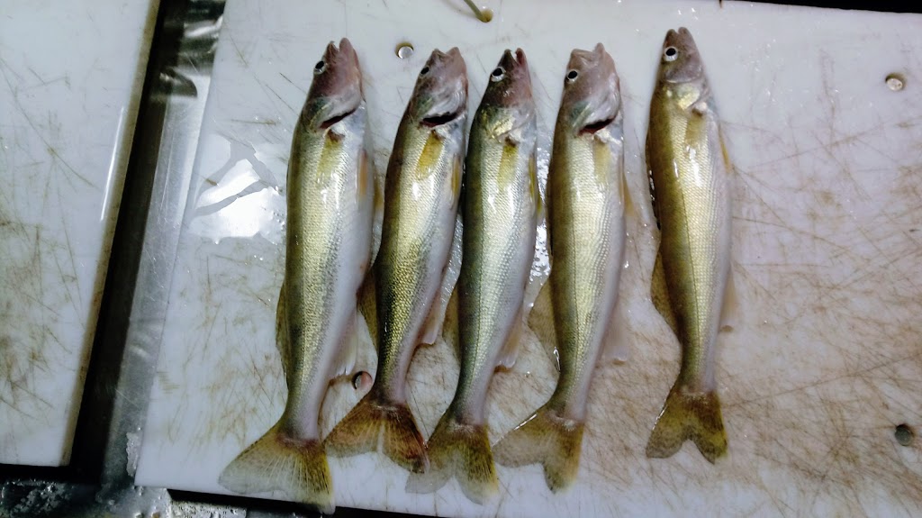 St Clair River Lodge | 3573 River Rd, East China, MI 48054, USA | Phone: (810) 329-2581