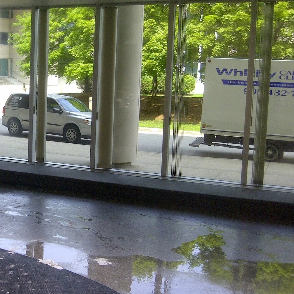 Whitby Carpet Cleaners | 1333 Boundary Rd, Oshawa, ON L1J 6Z7, Canada | Phone: (905) 432-7129