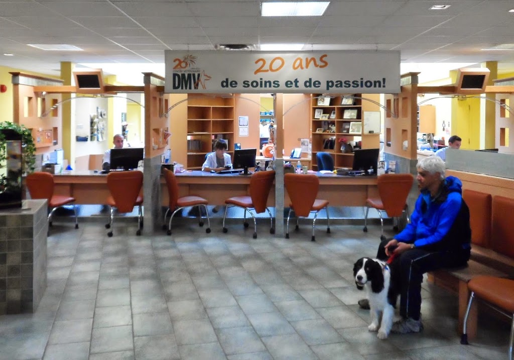 DMV Veterinary Center | 2300 54e Av, Lachine, QC H8T 3R2, Canada | Phone: (514) 633-8888