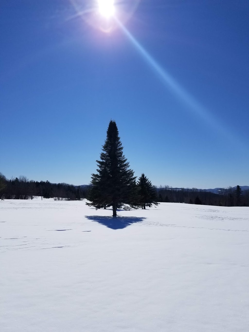 Vacation Rental | 548 Telfer Hill Rd, Barton, VT 05822, USA | Phone: (802) 525-3402