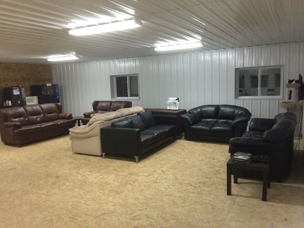 Paints-Plus Equine Center | 22441 AB-14, Sherwood Park, AB T8C 1H5, Canada | Phone: (780) 237-7587