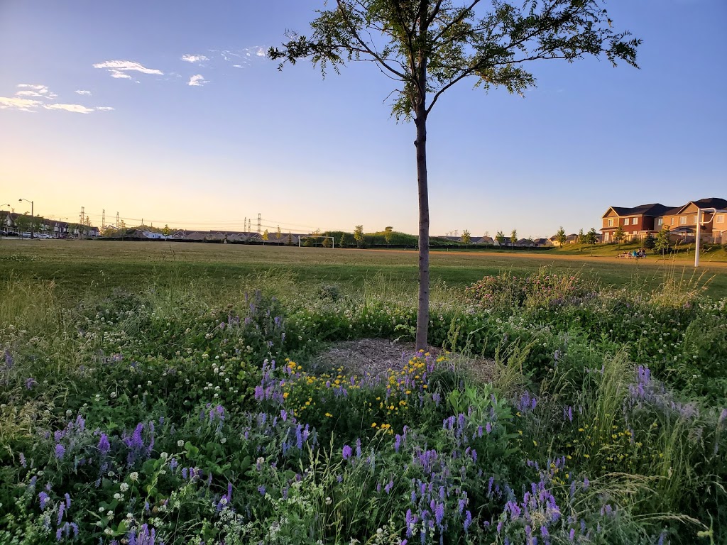 Steeplechase Park | Windfields, Oshawa, ON L1L 0G1, Canada