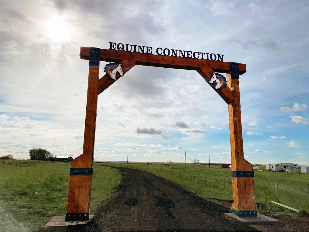 Equine Connection - The Academy of Equine Assisted Learning | 264039a Township Rd 224, Carseland, AB T0J 0M0, Canada | Phone: (403) 560-1153