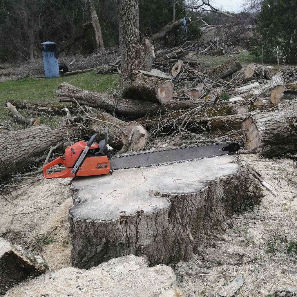 AJL Tree Service | 1891 Bowmanton Rd #2, Roseneath, ON K0K 2X0, Canada | Phone: (289) 829-1151