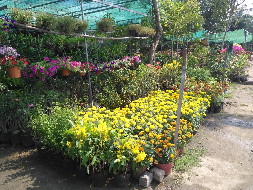Thomas Greenhouses | 9633 Morning Glory Rd, Pefferlaw, ON L0E 1N0, Canada | Phone: (705) 437-2396