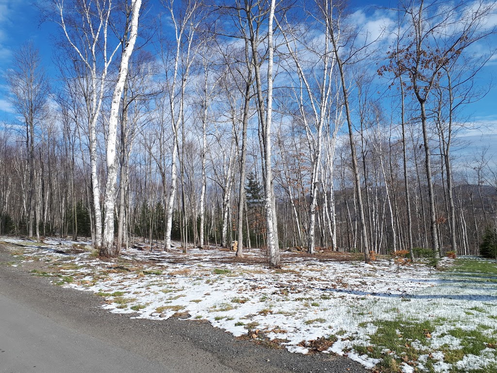 Extermination Des Monts | 668 Chemin des Bouleaux, Saint-Sauveur, QC J0R 1K0, Canada | Phone: (450) 227-0997