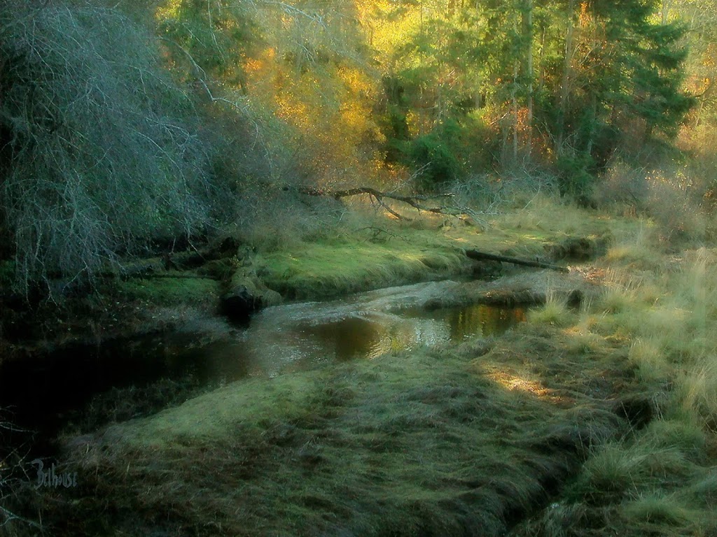 Belhouse Gallery | 13536 Barney Rd, Ladysmith, BC V9G 1E9, Canada | Phone: (250) 245-5383