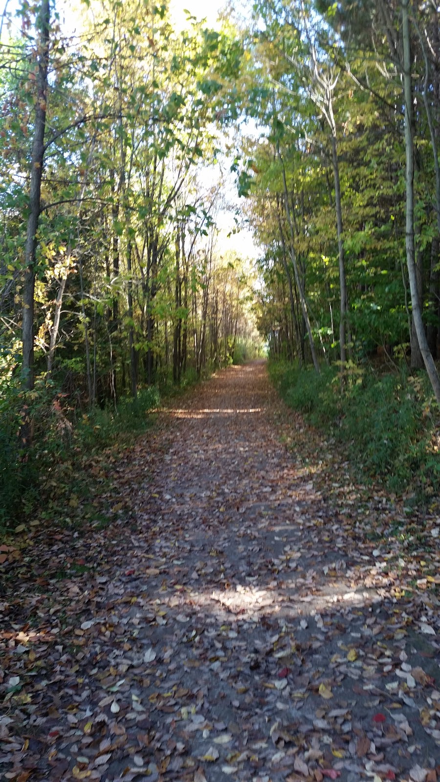 Albion Hills Conservation Park | 16500 Peel Regional Rd 50, Caledon, ON L7E 3E7, Canada | Phone: (905) 880-0227
