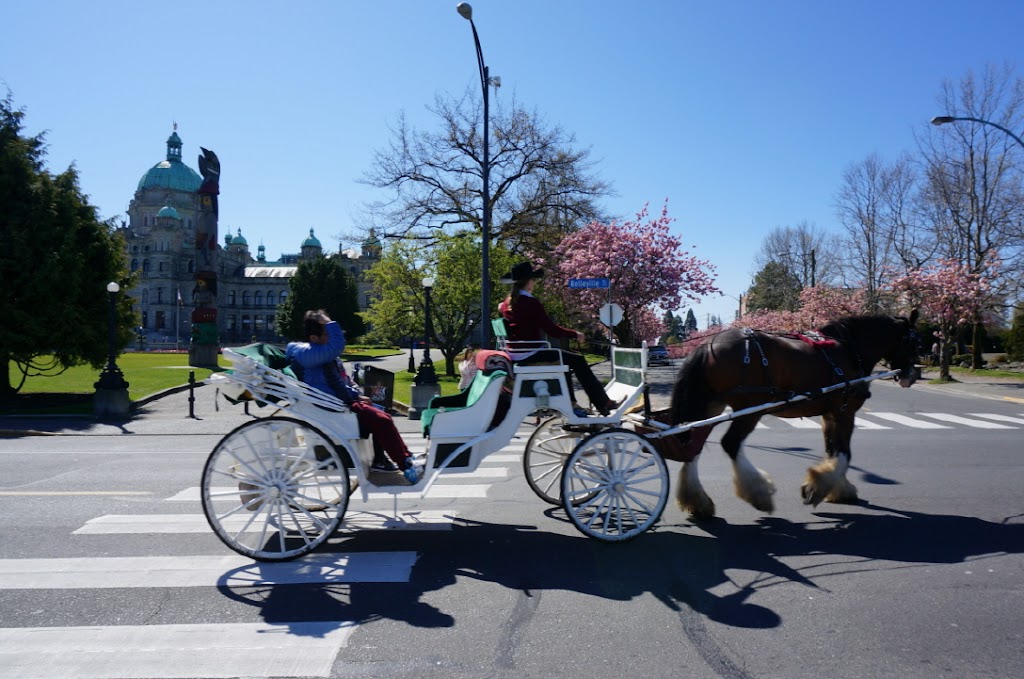 Inner Harbour Lower Pathway | 2l8, 501 Belleville St., Victoria, BC V8V 2L8, Canada | Phone: (250) 893-6794