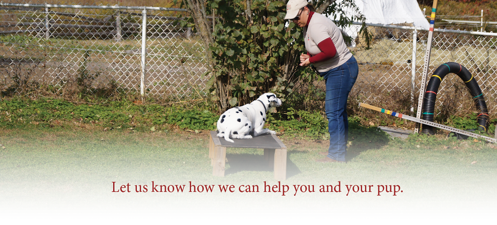ALM K9 | 1369 Trent River Rd, Havelock, ON K0L 1Z0, Canada | Phone: (705) 933-4548