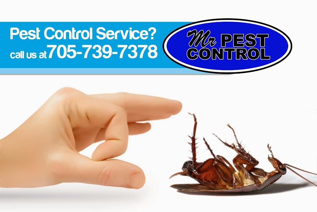 Mr Pest Control | 6 Maplehill Dr, Shanty Bay, ON L0L 2L0, Canada | Phone: (705) 739-7378