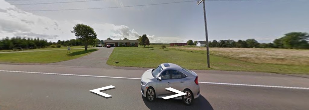 Rileys Dog Lodge | 595 Sherbrooke Rd, Summerside, PE C1N 4J8, Canada | Phone: (902) 436-0240