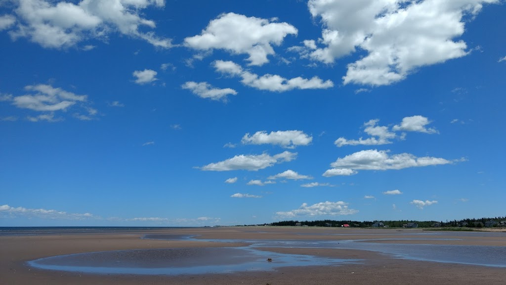 Carus Terra Inc. | 83 De la Brèche Rd, Grand-Barachois, NB E4P 7B8, Canada | Phone: (514) 817-7762