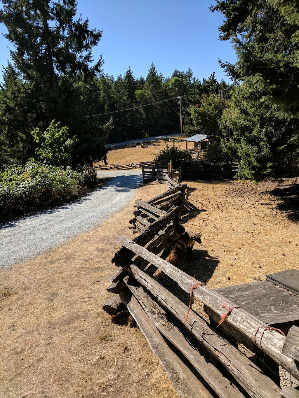 sunset farm | 1325 Sunset Dr, Salt Spring Island, BC V8K 1E2, Canada | Phone: (250) 537-2082