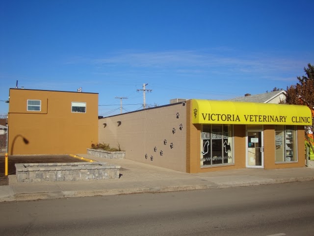 Victoria Veterinary Clinic Inc | veterinary care | 628 Victoria Ave, Regina, SK S4N 0R1, Canada | 3065228802 OR +1 306-522-8802