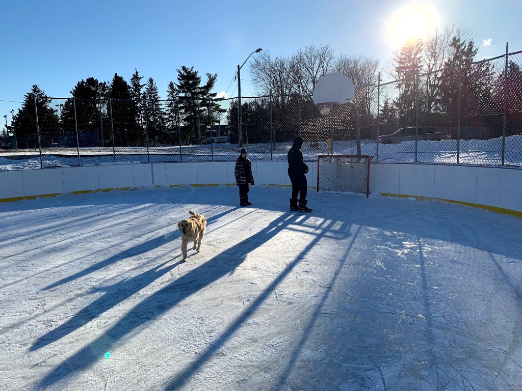 Dr. William Laceby Community Center and Arena | 15 Old King Rd, Nobleton, ON L0G 1N0, Canada | Phone: (905) 833-5321