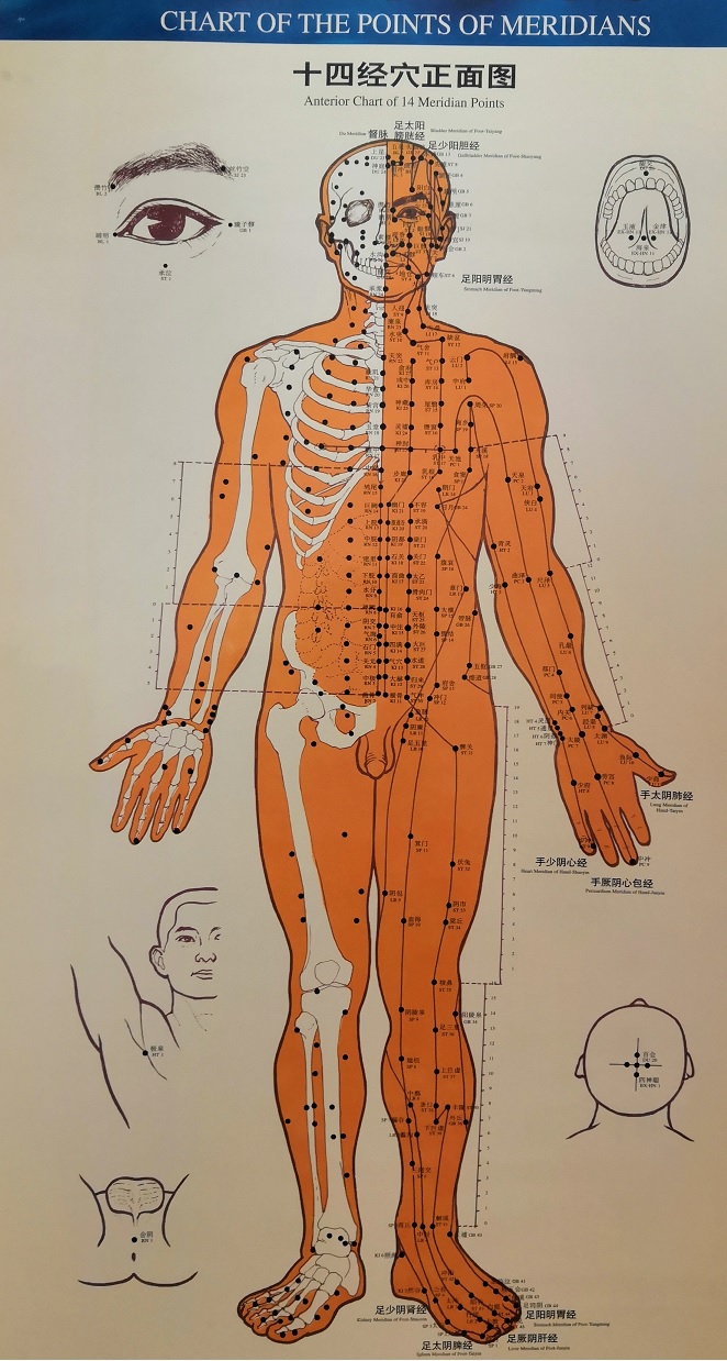 Burnaby South Acupuncture Center | 7777 Royal Oak Ave #102, Burnaby, BC V5J 4K2, Canada | Phone: (604) 721-9117