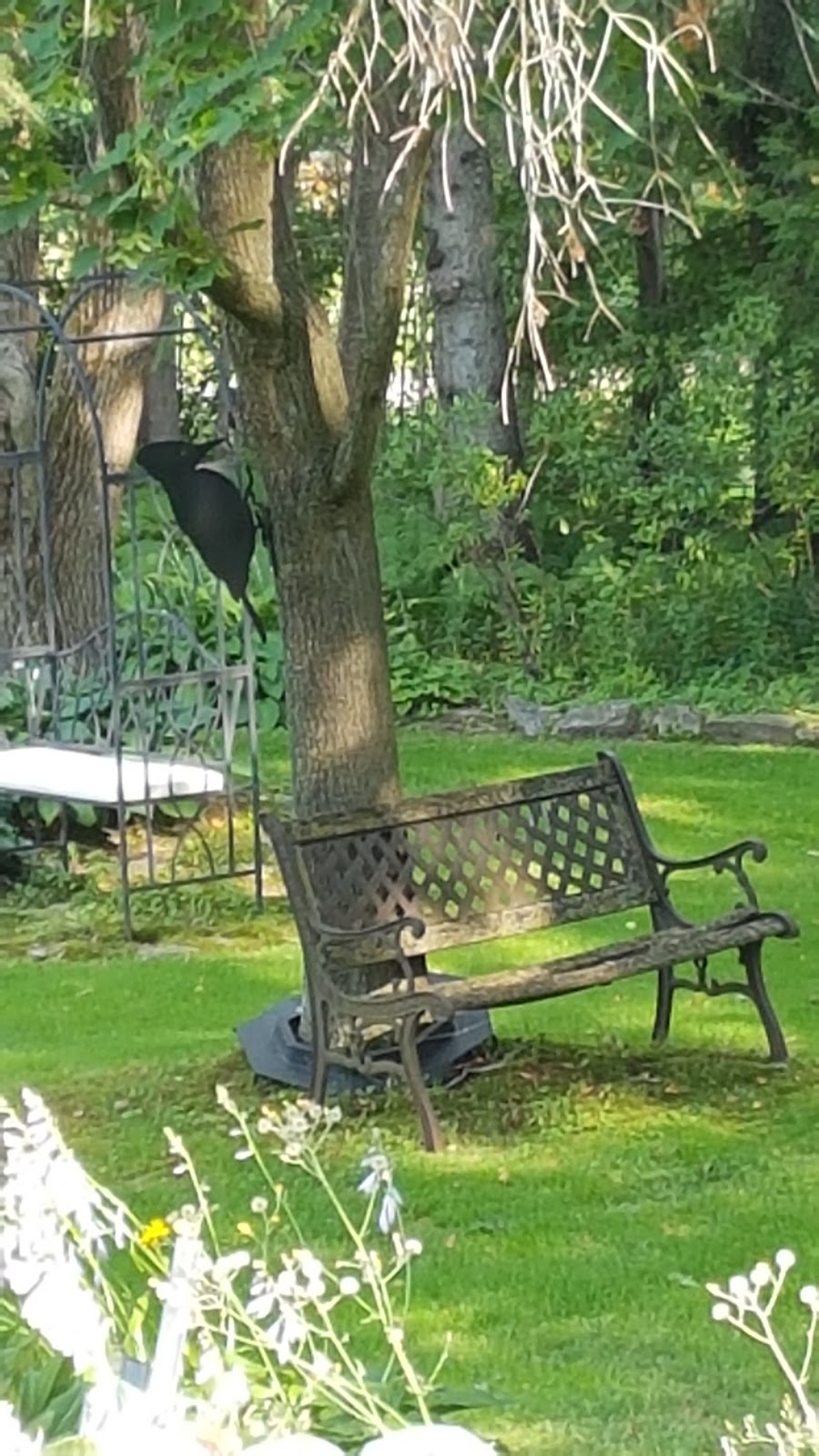 Burleys Garden Suite-Kitchen | 2604 Television Rd, Peterborough, ON K9L 0E1, Canada | Phone: (705) 745-8322