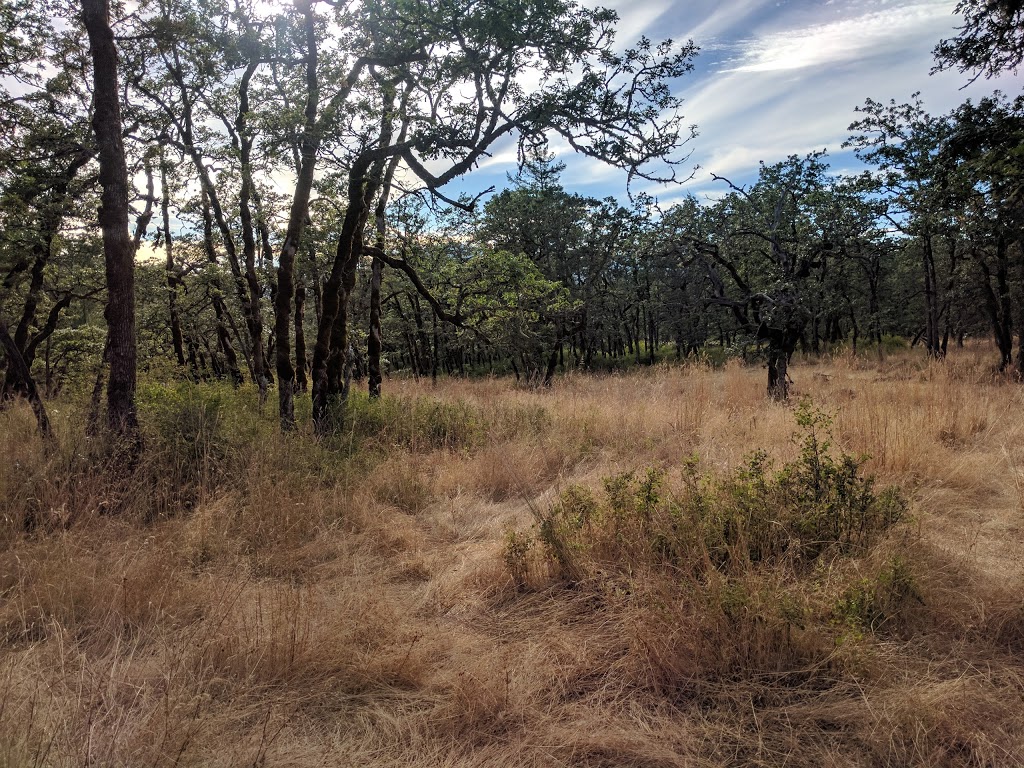 Cowichan Garry Oak Preserve | 1241 Maple Bay Rd, Duncan, BC V9L 5R9, Canada