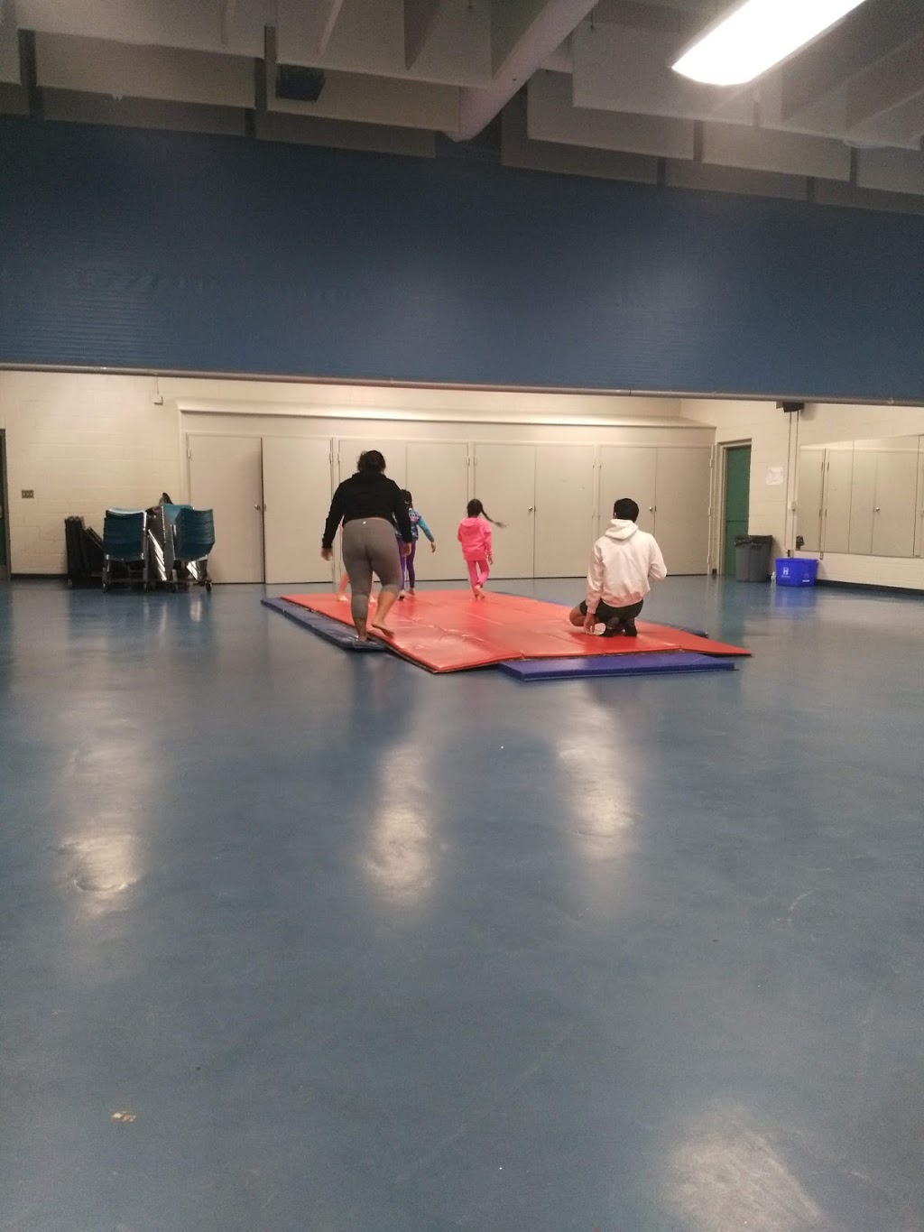 Huntington Park Recreation Centre | 87 Brentwood Dr, Hamilton, ON L8T 3W4, Canada | Phone: (905) 546-4880