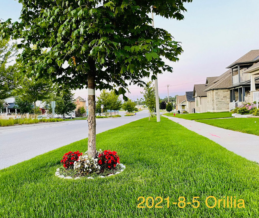 Orillia Online Shopping Mall | 150 Front St S, Orillia, ON L3V 4S7, Canada | Phone: (705) 955-3658