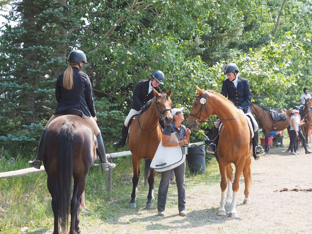Nowell Equine | 274188, Range Rd 20, AB T4B 4M4, Canada | Phone: (403) 996-4456