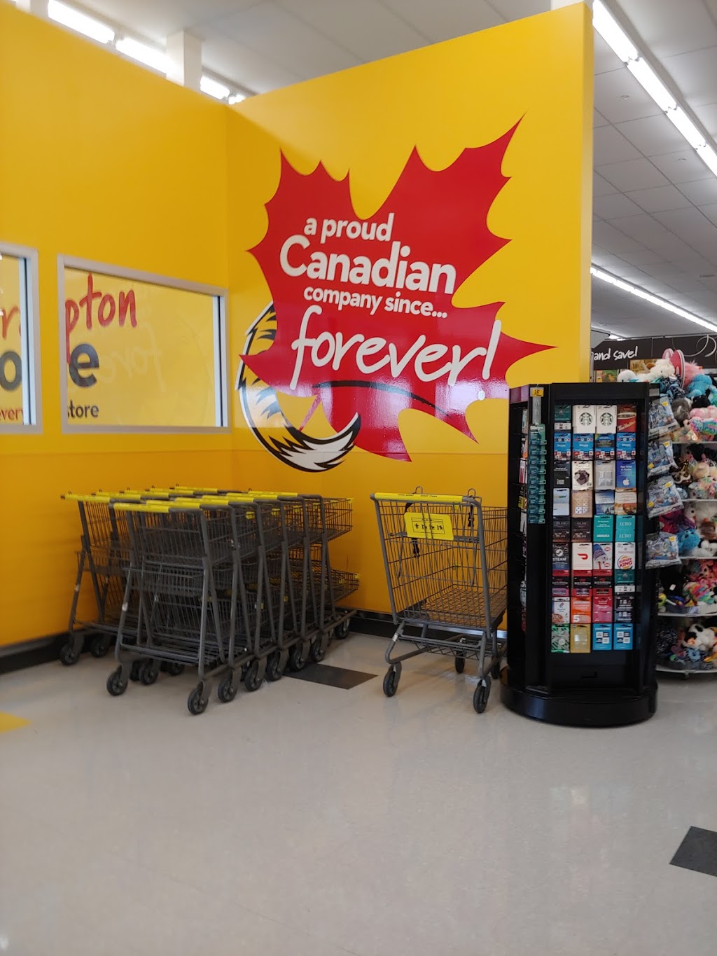 Giant Tiger | 9065 Airport Rd, Brampton, ON L6S 0B8, Canada | Phone: (905) 793-7365
