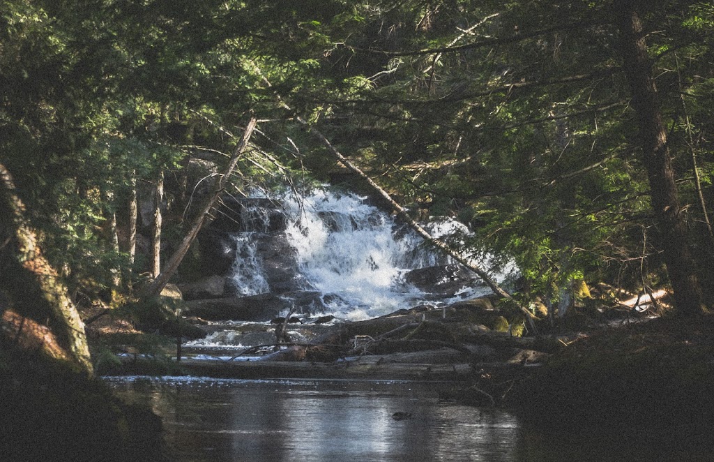 Trevor Witt Photography | 3275 Shoreview Dr, Washago, ON L0K 2B0, Canada | Phone: (226) 747-2167