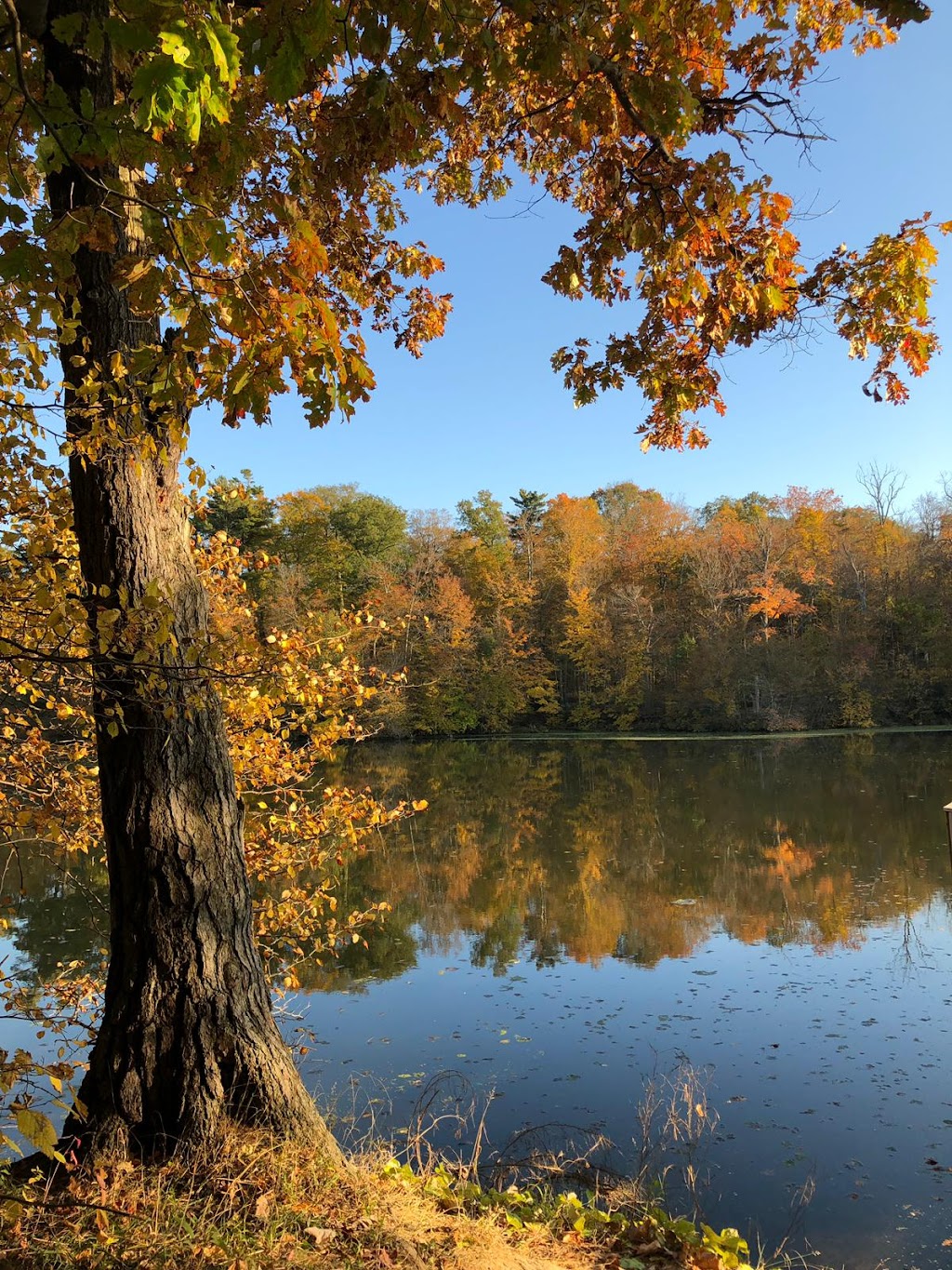 Menno Lodge | 50 Melanie Dr, Aylmer, ON N5H 3G6, Canada | Phone: (519) 765-1083