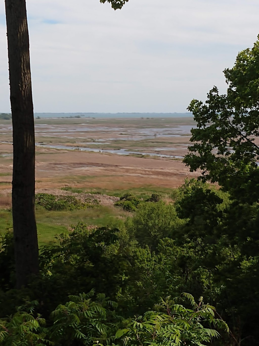 Long Point Eco Adventures | 1730 Front Rd, St Williams, ON N0E 1P0, Canada | Phone: (877) 743-8687