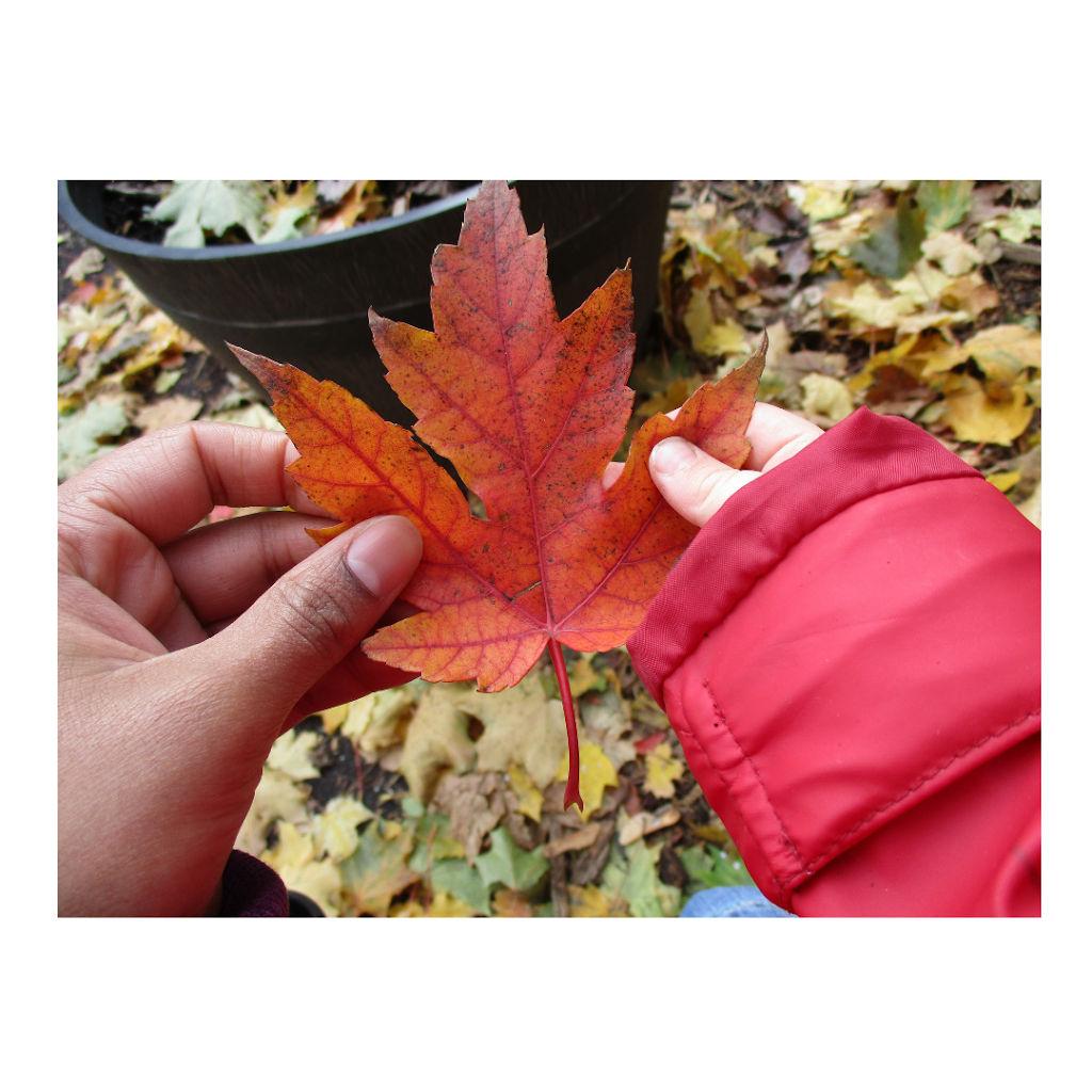 Windermere Kids Inc. | 356 Windermere Ave, Toronto, ON M6S 3L3, Canada | Phone: (416) 761-9772