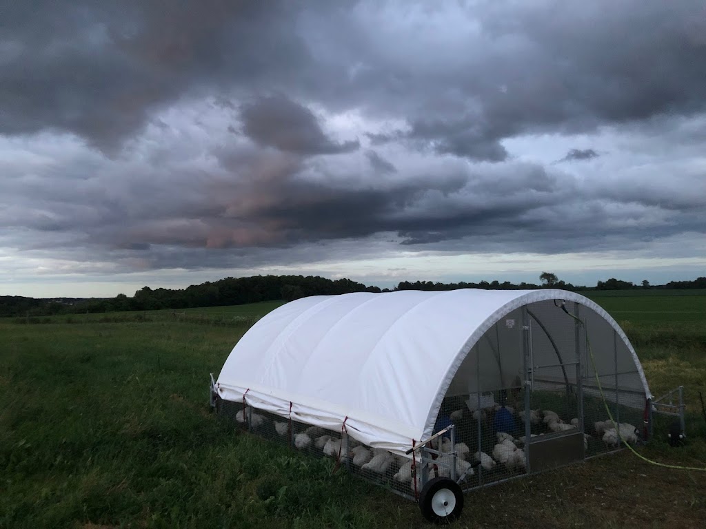 WindRose Farm | 516134 11 Line, Tavistock, ON N0B 2R0, Canada | Phone: (519) 533-7556