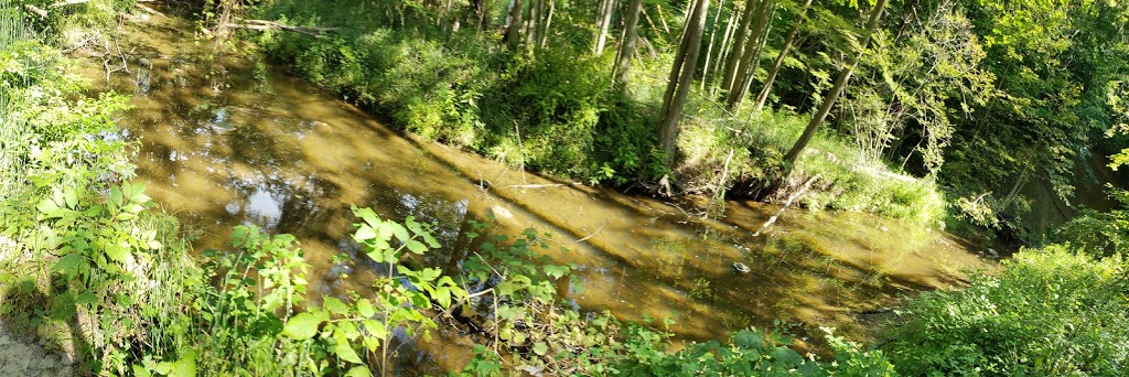 Pine River Nature Center | 2585 Castor Rd, Goodells, MI 48027, USA | Phone: (810) 364-5477