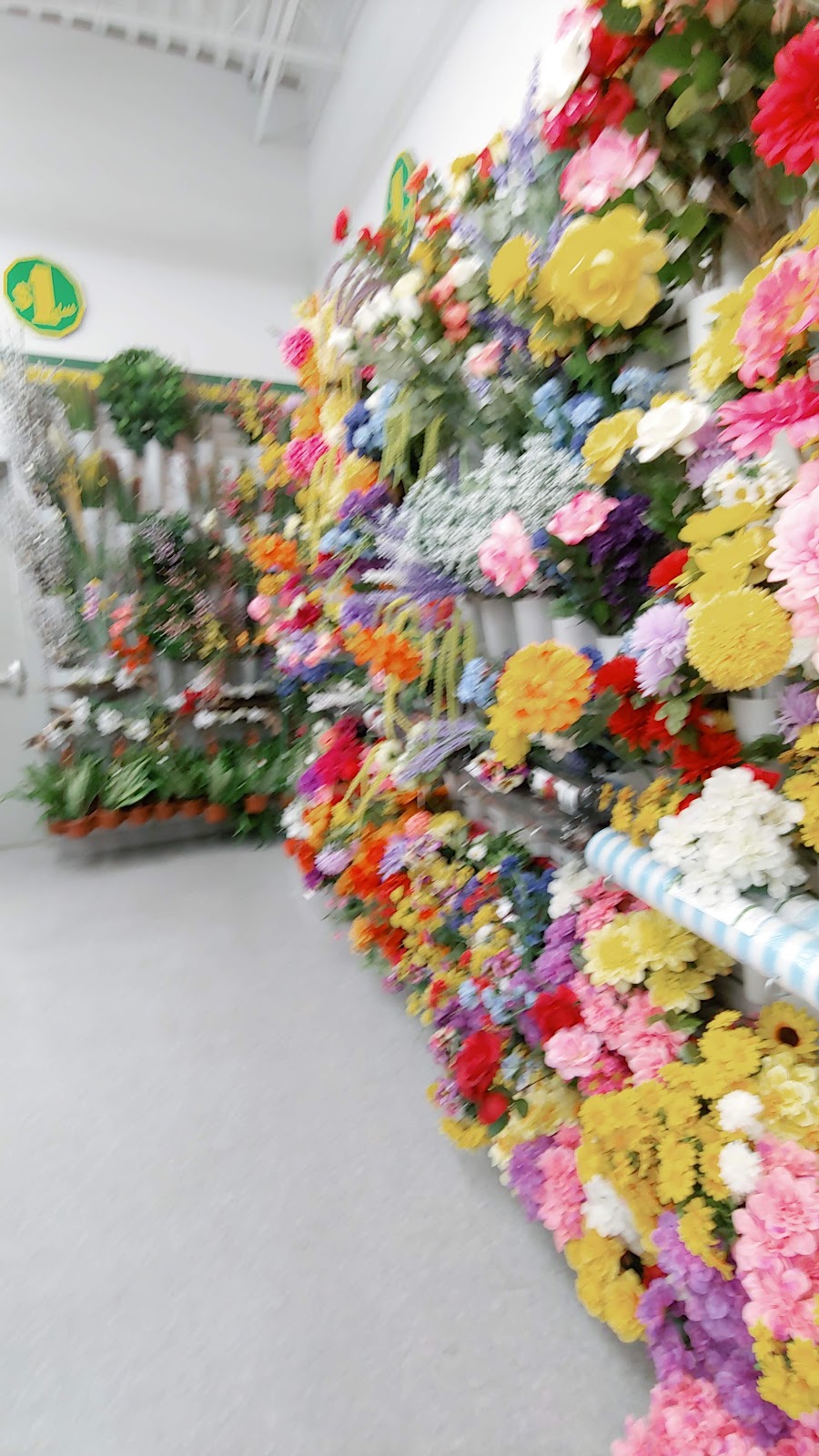 Dollarama | Plaza, 2355 Keele St, North York, ON M6M 4A2, Canada | Phone: (416) 249-0200