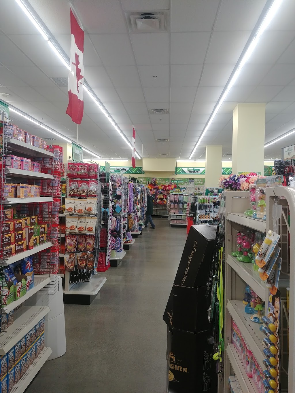 Dollar Tree | 21 Helmcken Rd #110, Victoria, BC V8Z 5G5, Canada | Phone: (250) 658-9930